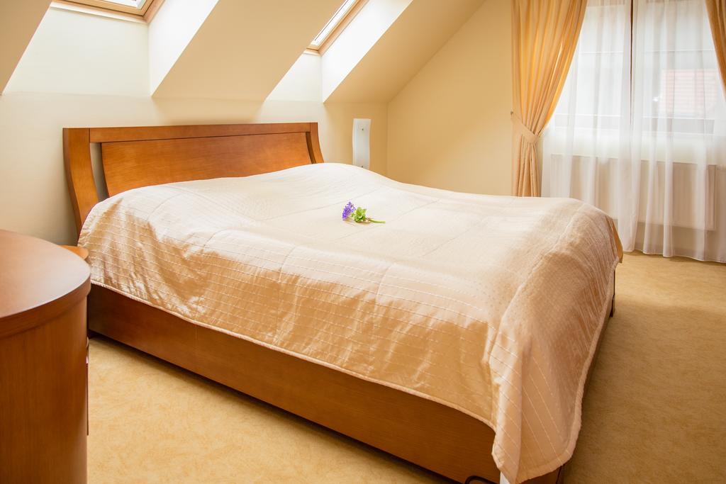 Villa Riverside Karlovy Vary Room photo