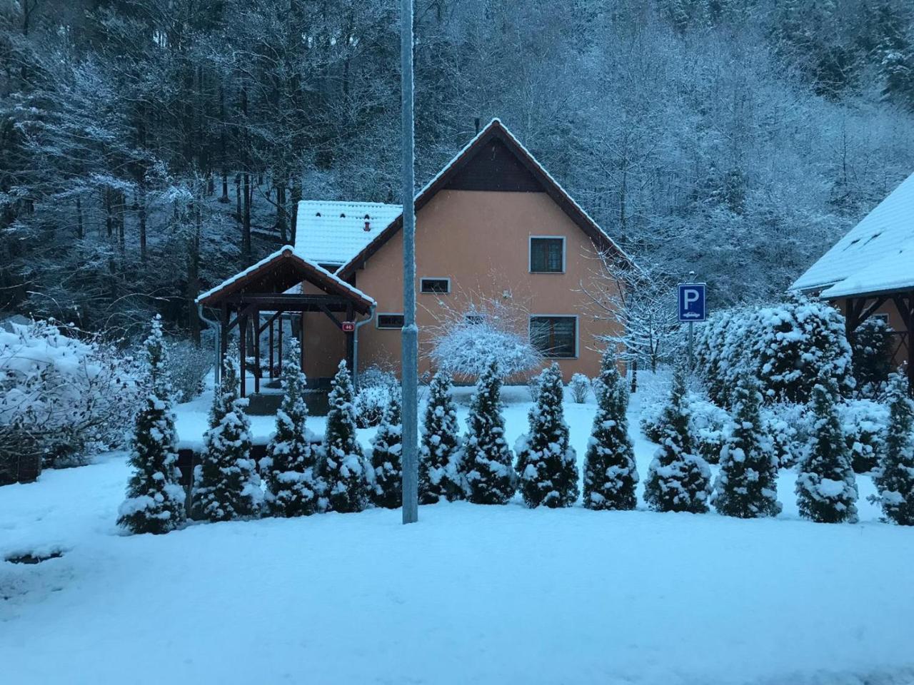 Villa Riverside Karlovy Vary Exterior photo